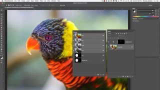The Relationship Between Photoshop Selections, Channels and Masks