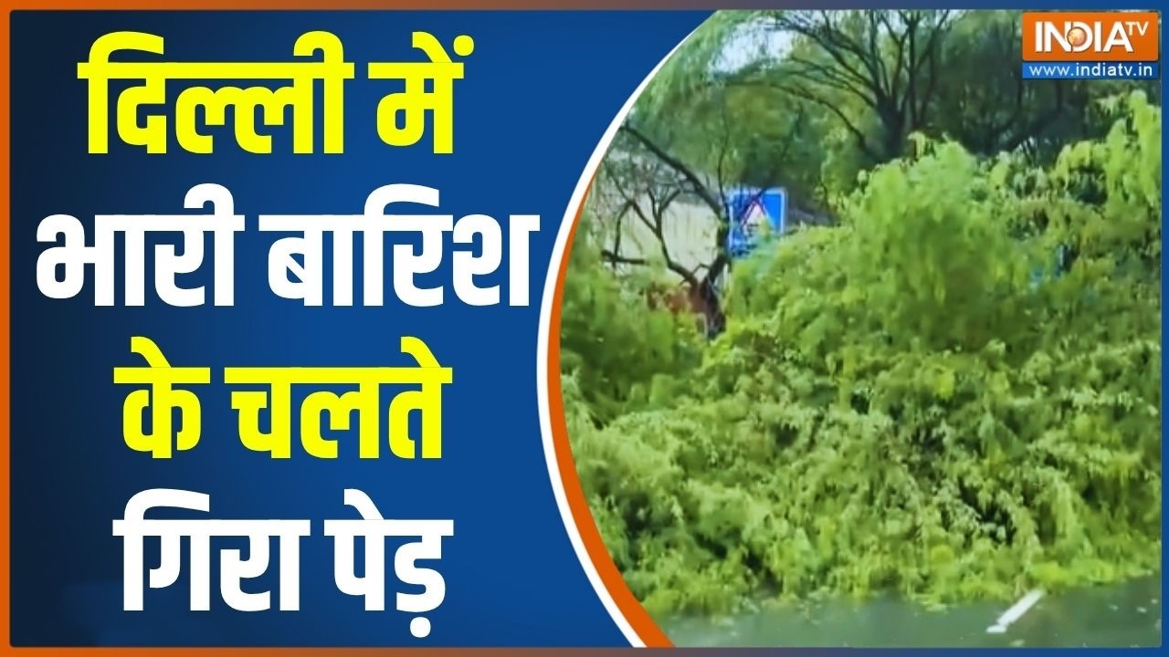 Breaking News: दिल्ली में भारी बारिश के चलते पेड़ गिरा | Heavy Rainfall | Ra
