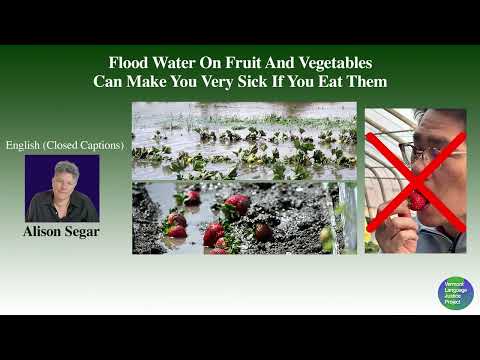 ENGLISH (CLOSED CAPTIONS): Flood Water On Fruit And Vegetables Can Make You Sick If You Eat Them