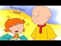 Rosie Refuses To Eat Her Salad On Veed Io