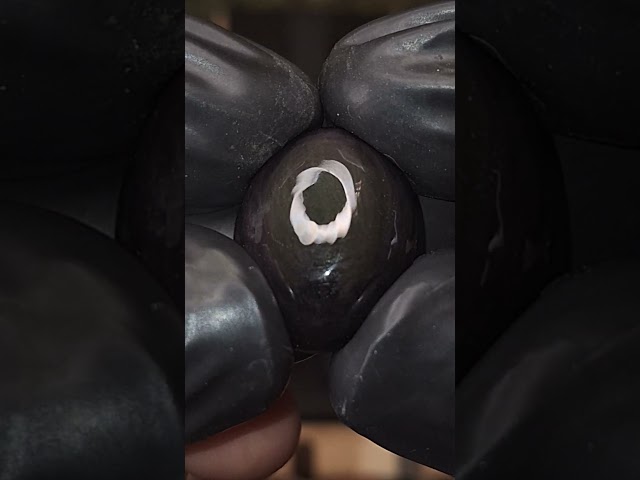 حجر اوبسيدان عين الملكة طبيعي