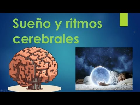 Neuroanatomy and physiology of sleep