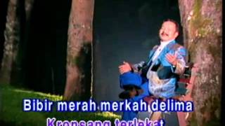 Download lagu Gadis Deli-Tiar Ramon mp3