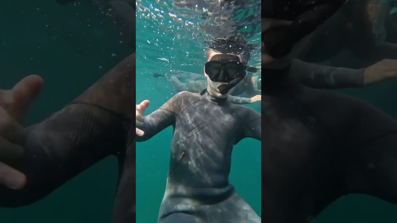 YouTube Short thumbnail