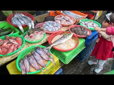 Principios de invierno Puerto pesquero de tierra / Mariscos / Puerto pesquero / Puerto pesquero de Taiwán