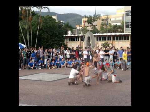 X trote integrado ctc