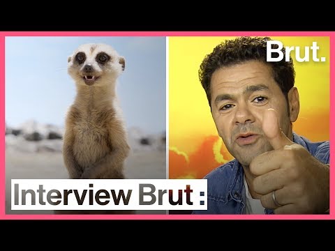 Interview Brut : Jamel Debbouze, la voix de Timon dans Le Roi Lion