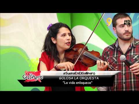 Golosa la Orquesta - La vida Enloquece