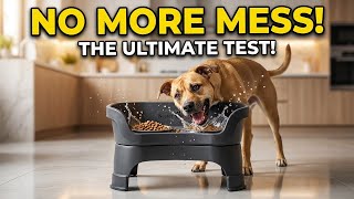 Neater Feeder Deluxe Mess Proof Dog Bowls Review: The Perfec