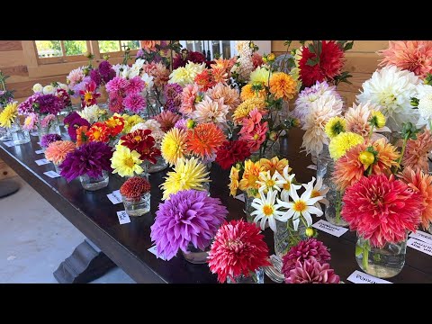 2022 Dahlia Tour! 😍🌸🙌 // Garden Answer