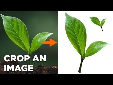 How to Crop Out an Image in CorelDraw