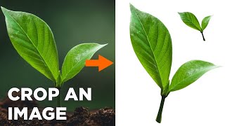 Download lagu Cara Memotong Gambar di CorelDraw mp3 Download lagu Cara Memotong Gambar di CorelDraw mp3