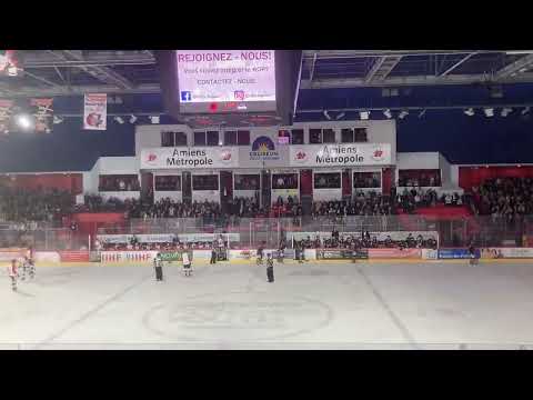 But Elgin Pearce (Gothiques VS Pionniers) - Synerglace Ligue Magnus (J57) - 02/03/2022 (2-4)