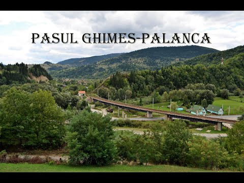 Pasul Ghimes-Palanca (Gyimesbukk )🌞🌳🦅🌻