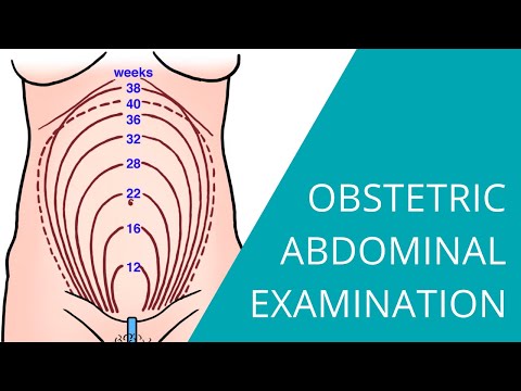 Obstetric Abdominal Examination - Steps for examining a pregnant woman