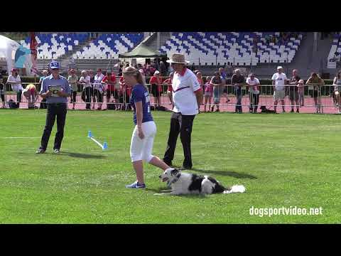 Qualification - Maiju Ojamies + Tending Mirage / Border Collie - Finland