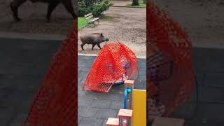 buona-domenica-dalla-villa-comunale-di-ariano-irpino