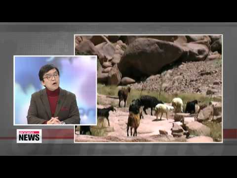 ARIRANG NEWS 16:00 Ten dead, more than 100 injured in Gyeongju building collapse