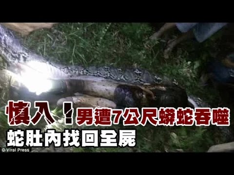 蛇內側