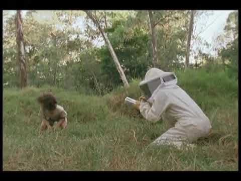 Honeycomb - Bee Boy (2008, Canada)