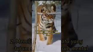 Download lagu Manfaat Khodam Macan Loreng mp3 Download lagu Manfaat Khodam Macan Loreng mp3