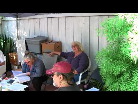 2017-10-28 NSSAT - Drunvalo Melchizedek, Thoth, Hermes Trismegistus, and Pythagoras