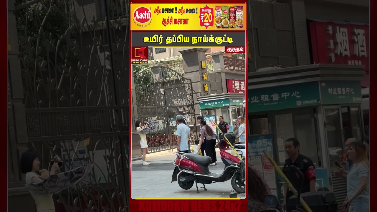 குதிச்சிடுடா கைப்புள்ள..! பெண்ணின் சாமர்த்தியத்தால் உயிர் தப்பிய நாய்க்குட்டி | VIRAL VIDEO | DOG