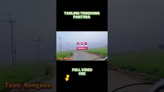 Download lagu Taun Rongewu #tarlingterbaru2025 #tarlingpantura #tarlingtengdung #tarlingcirebonan #tarlingdermayu mp3 Download lagu Taun Rongewu #tarlingterbaru2025 #tarlingpantura #tarlingtengdung #tarlingcirebonan #tarlingdermayu mp3