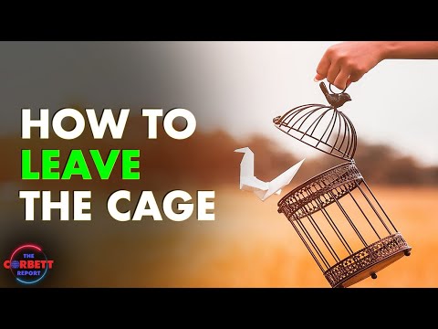 How to Leave the Cage - #SolutionsWatch