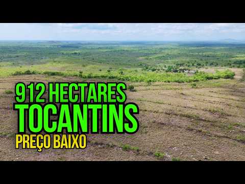 FAZENDA À VENDA 912 HECTARES POR PREÇO BAIXO? VEJA ISSO
