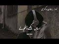 Asan Paky Dholy Dy Slow Reverb Best Of Zeeshan Rokhri Punjabi Song