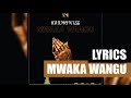 Harmonize Mwaka Wangu Lyrics