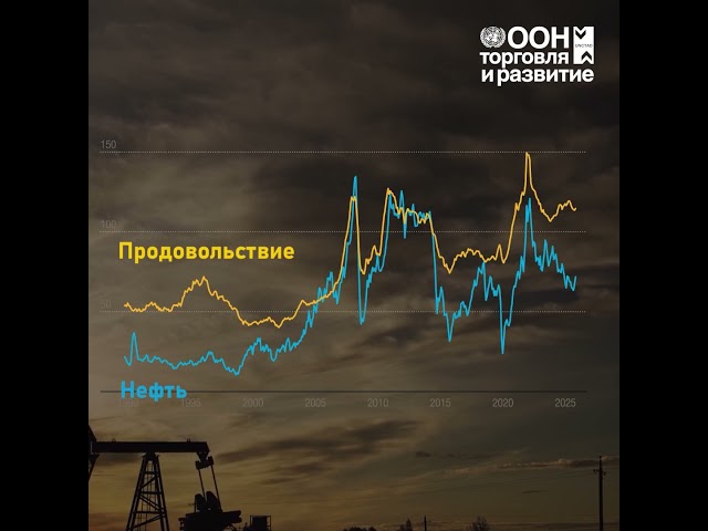 В центре внимания