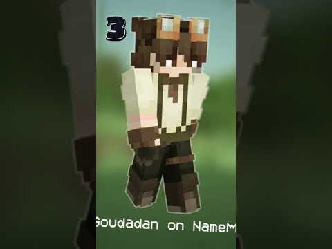 Which Minecraft Skin are you Choosing?