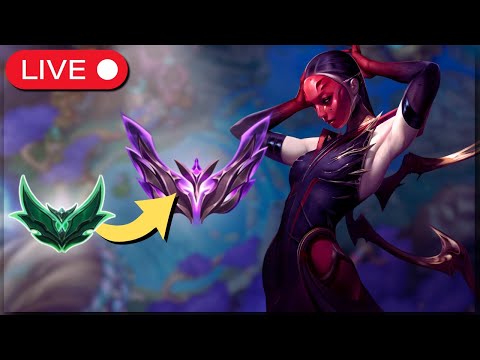Educational Emerald to Master in 5 Days - Choosing the Best Support Champions to Climb