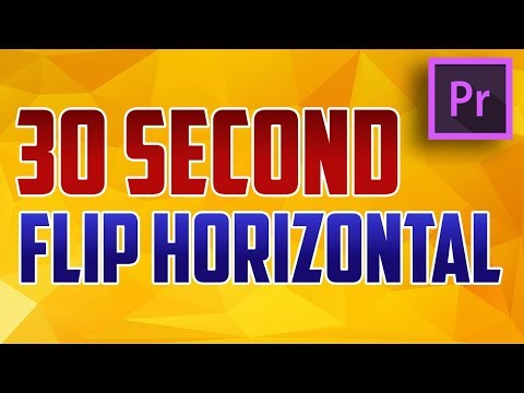 Premiere Pro Podcast Voice Tutorial