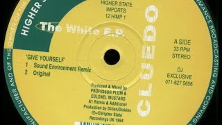 Cluedo - Give Yourself (Sound Environment Remix) 1994