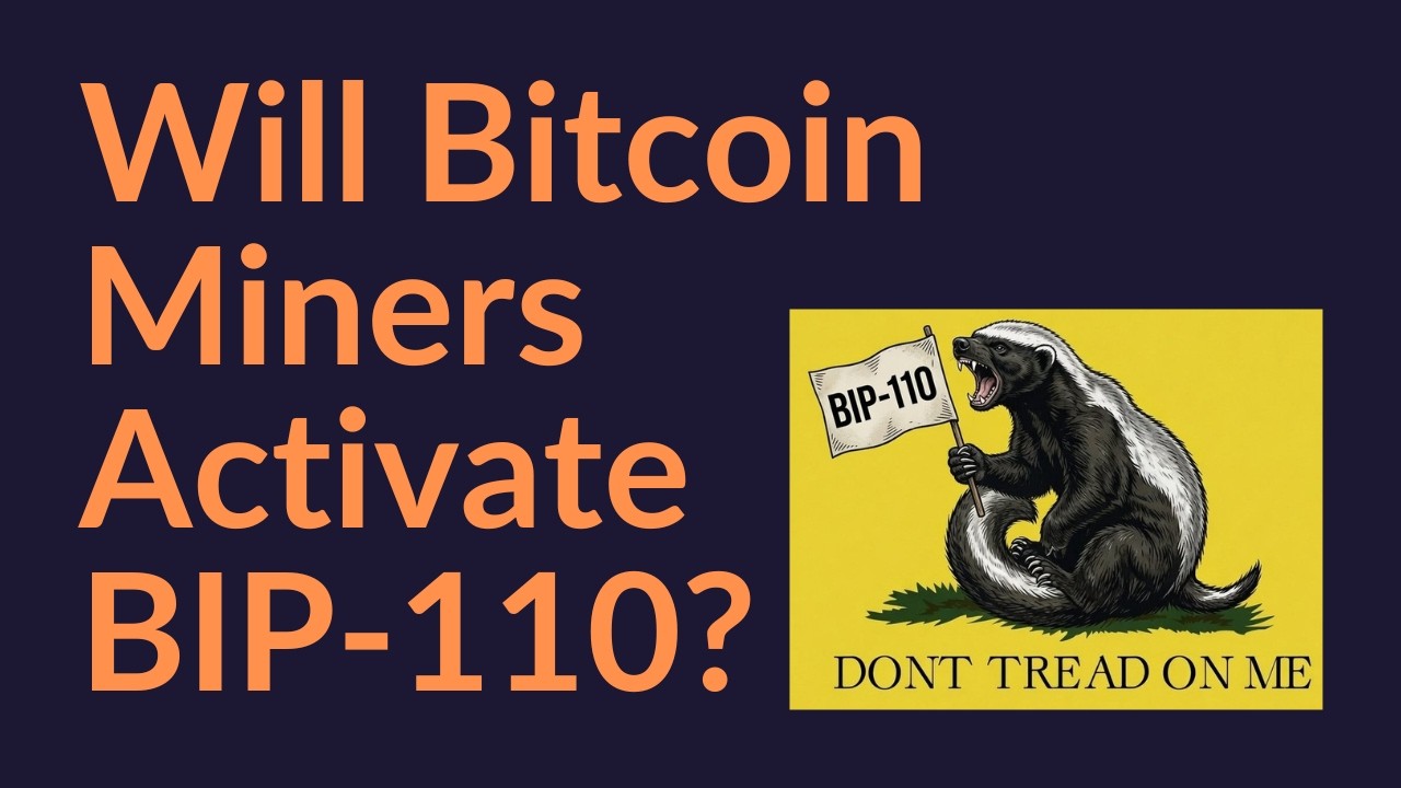 Will The Large Bitcoin Miners Activate BIP-110?