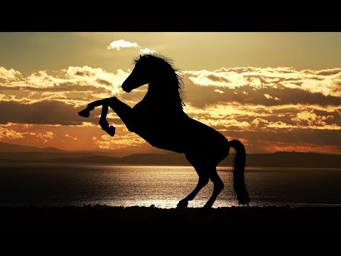 Lil Nas X - Old Town Road (Rahman Hajati Psytrance Remix) 🤠🐎