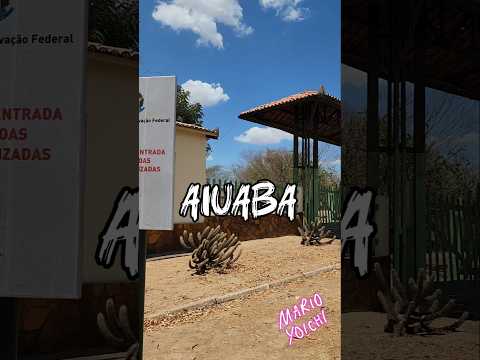 estação ecológica de Aiuaba. #aiuaba #trip #turismo #cicloturismo #biketour #mtb #ceara #icmbio