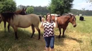 Reba McEntire- Pray for Peace