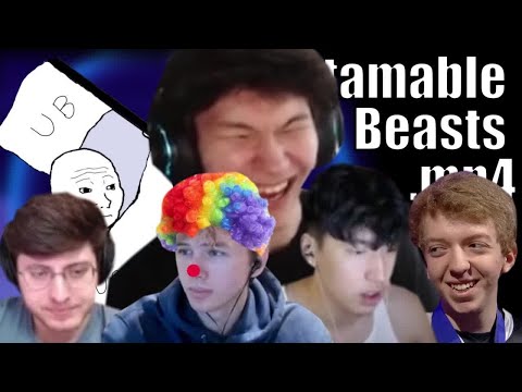 Untamable Beasts.mp4 (Valorant)