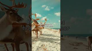 Luis Miguel - Mi humilde oración (Lyrics)