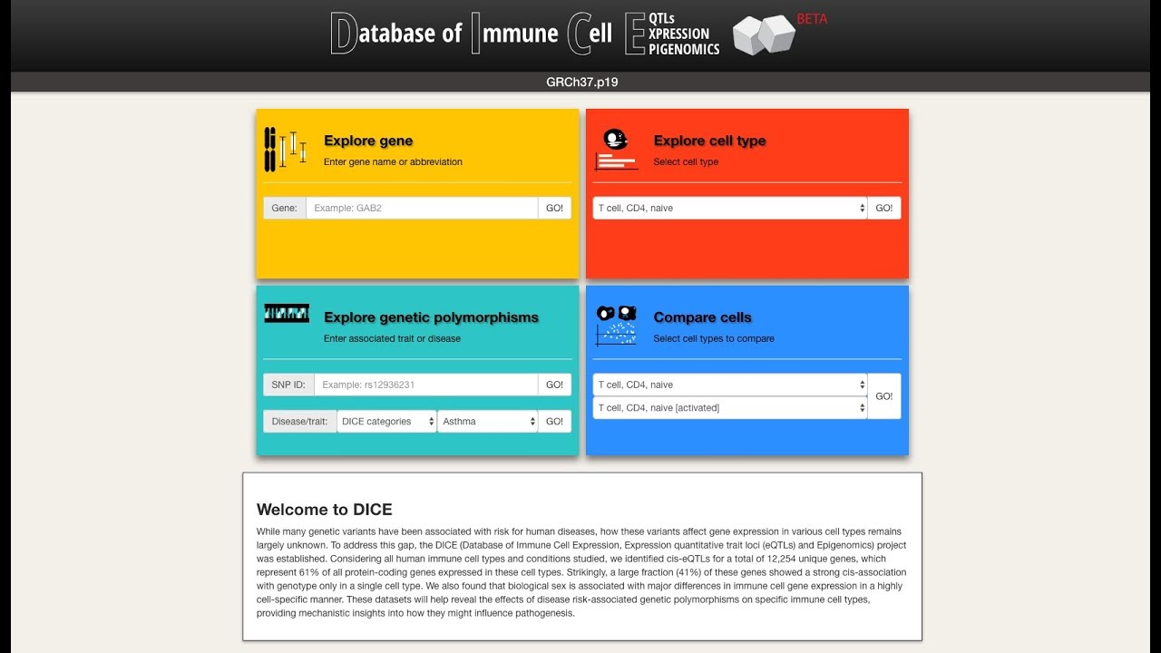LJI DICE PR 11 10 18 v1 CC