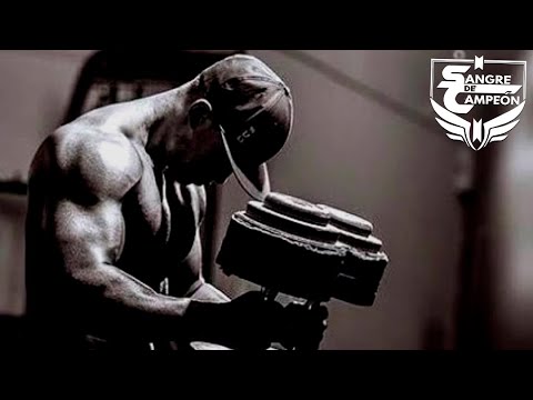 SANGRE DE CAMPEÓN - Motivación Gym