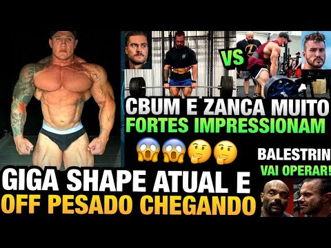 GIGA SHAPE ATUAL (OFF PESADO) - ZANCA E CBUM COM FORÇA ABSURDA - BALESTRIN FARÁ CIRURGIA E MAIS