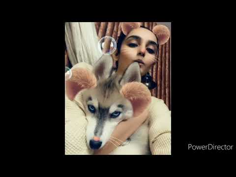 Ragini dwivedi love for puppies 😍