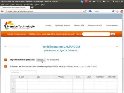 comment declarer cnss