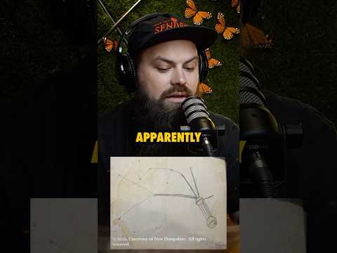 Scientist revealed accuracy of star map drawn by Betty and Barney Hill! #ninjasarebutterflies