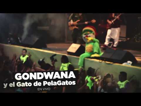 PelaGatos TV - Prog 145 (Anticipo) - Parque Roca